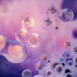 stem cell therapy