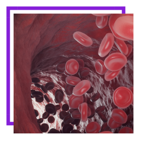 Bloodflow graphic