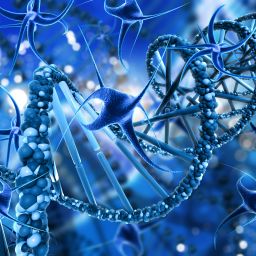 Regenerative medicine kansas