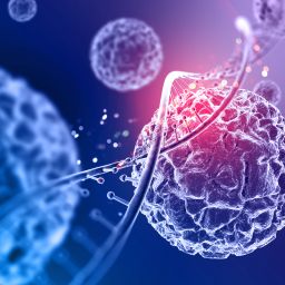 Stem Cells Exosomes