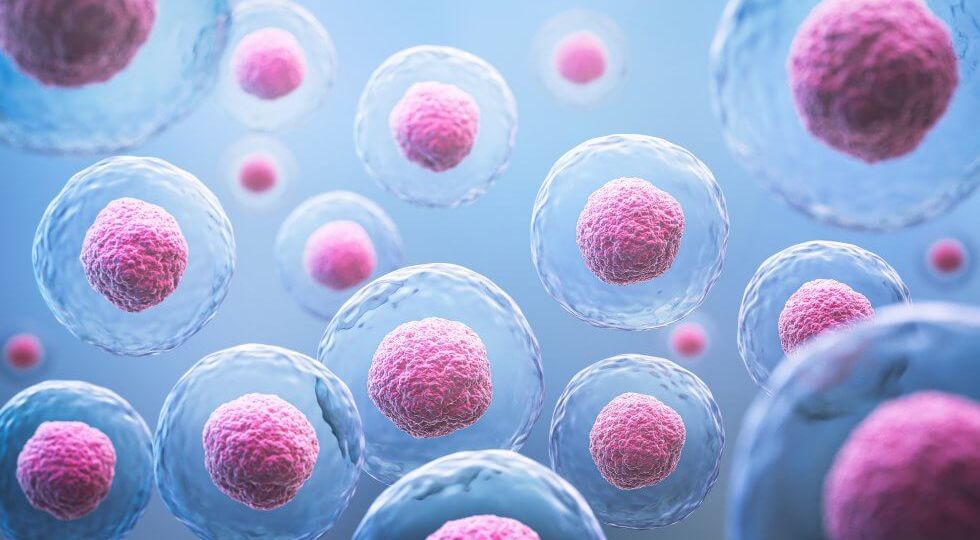 Stem Cells, Exosomes